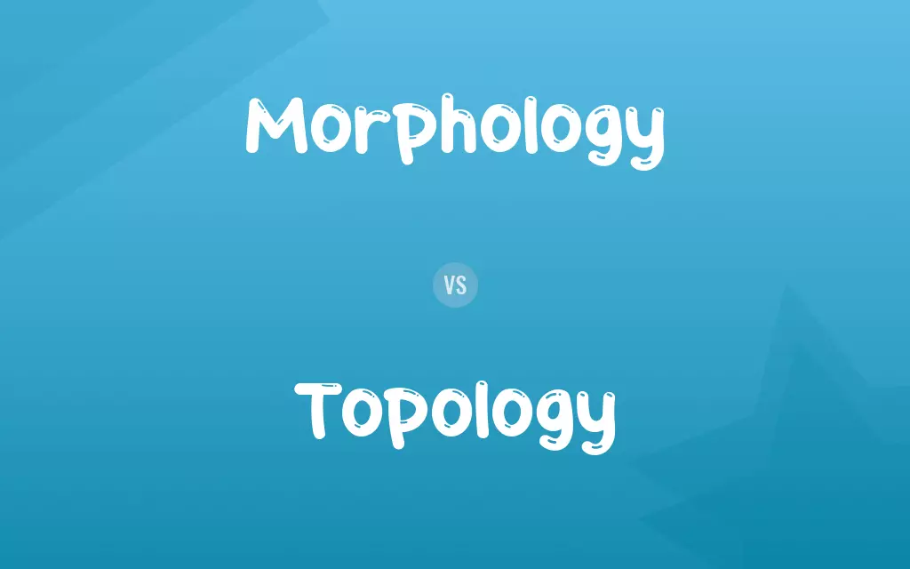 Morphology vs. Topology