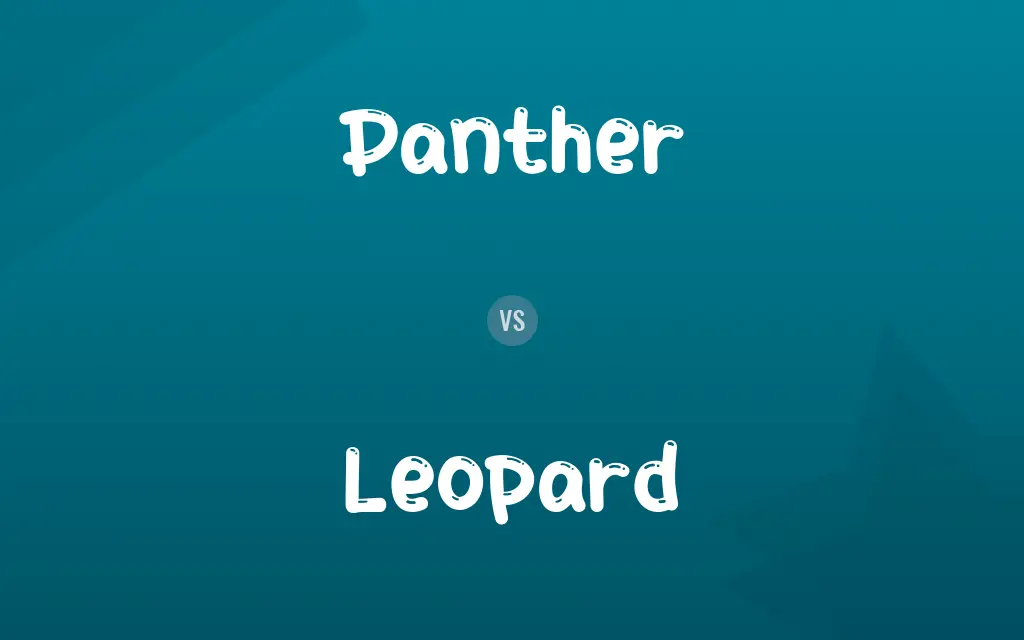 Panther vs. Leopard