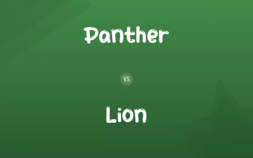 Panther vs. Lion