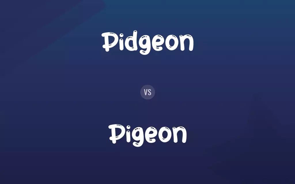 Pidgeon vs. Pigeon