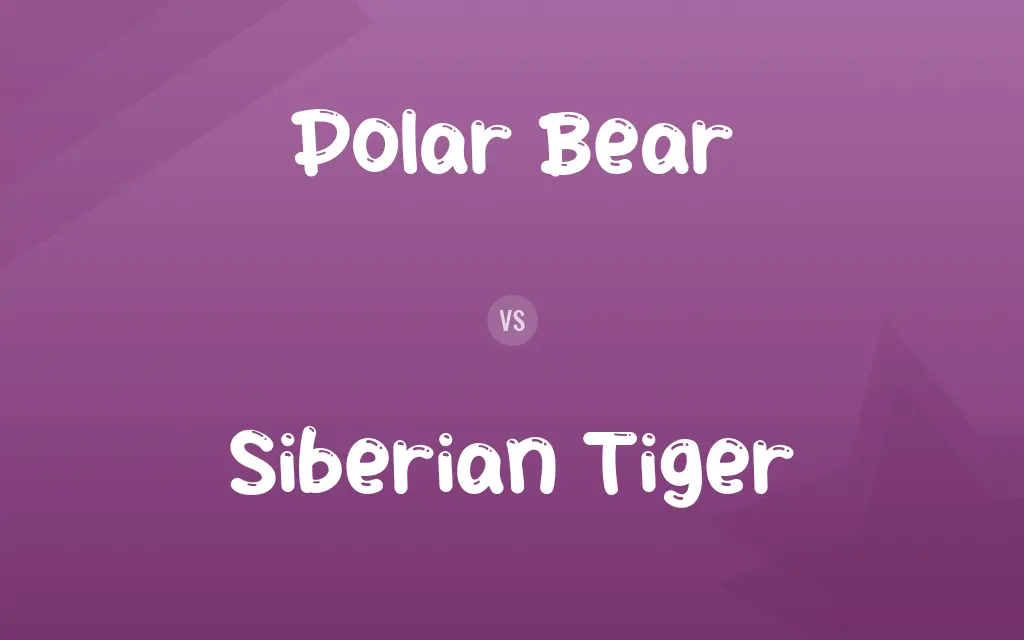 Polar Bear vs. Siberian Tiger