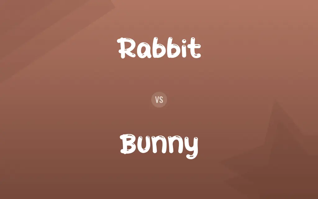 Rabbit vs. Bunny