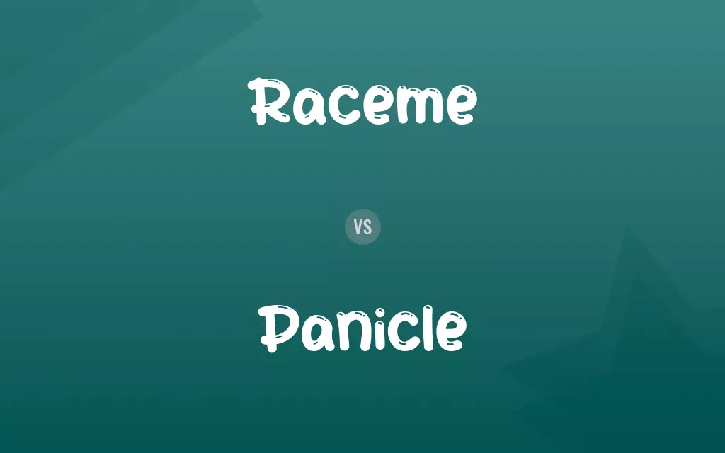 Raceme vs. Panicle
