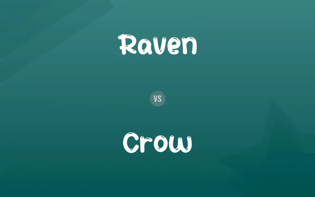 Raven vs. Crow