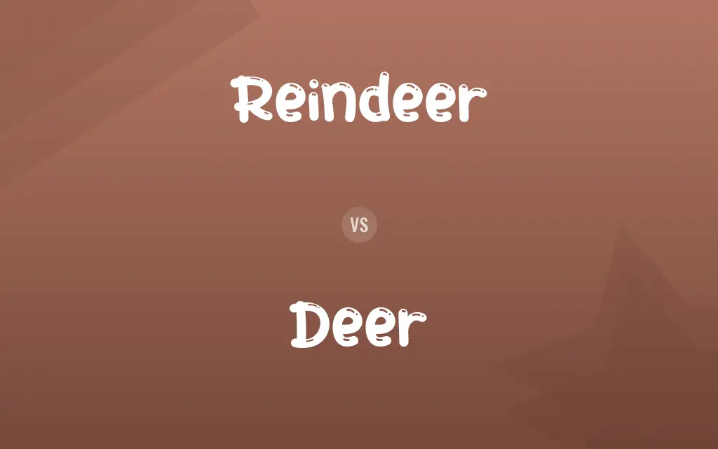 Reindeer vs. Deer