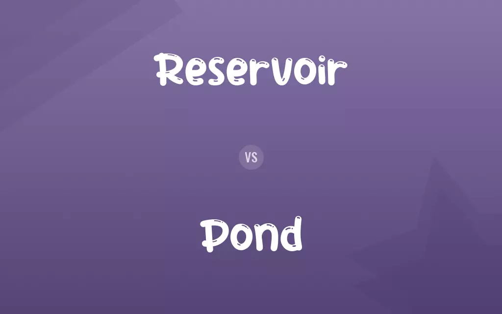 Reservoir vs. Pond
