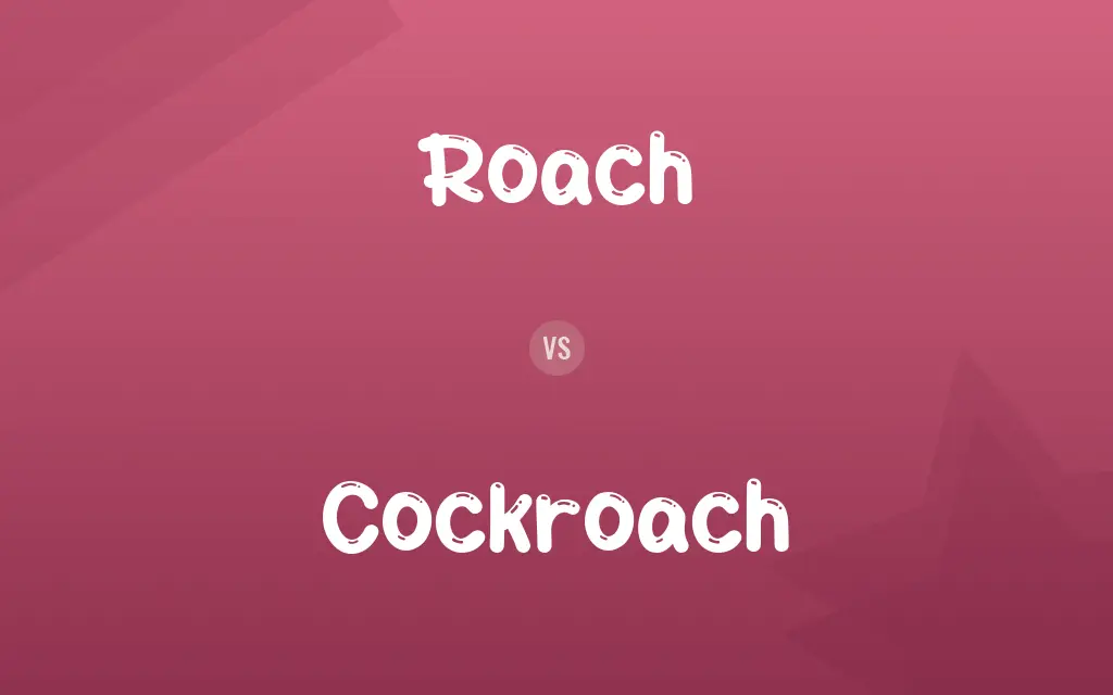 Roach vs. Cockroach