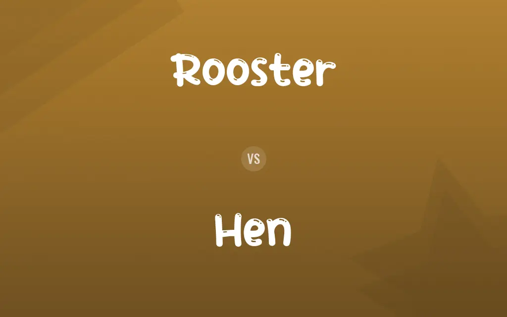 Rooster vs. Hen