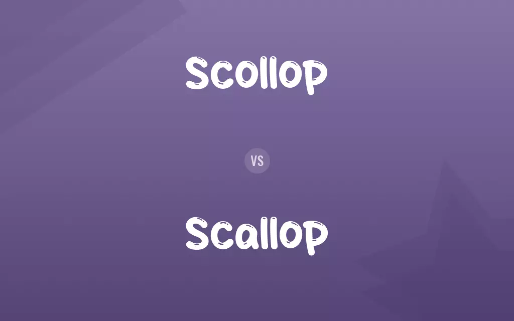 Scollop vs. Scallop
