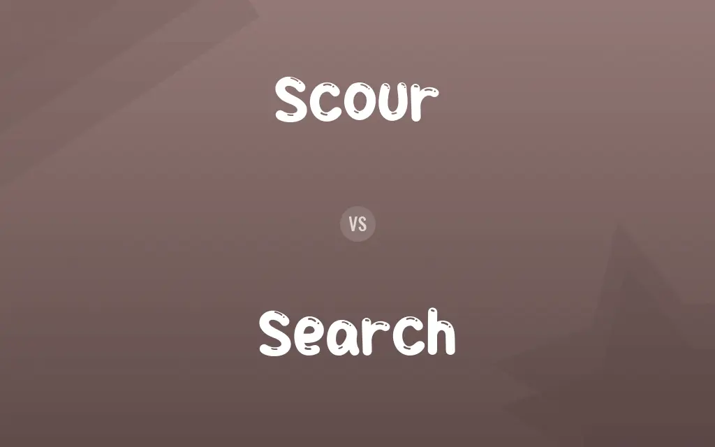 Scour vs. Search