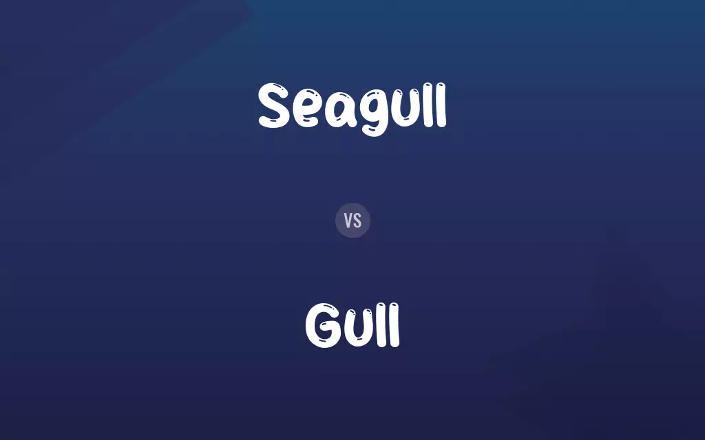Seagull vs. Gull