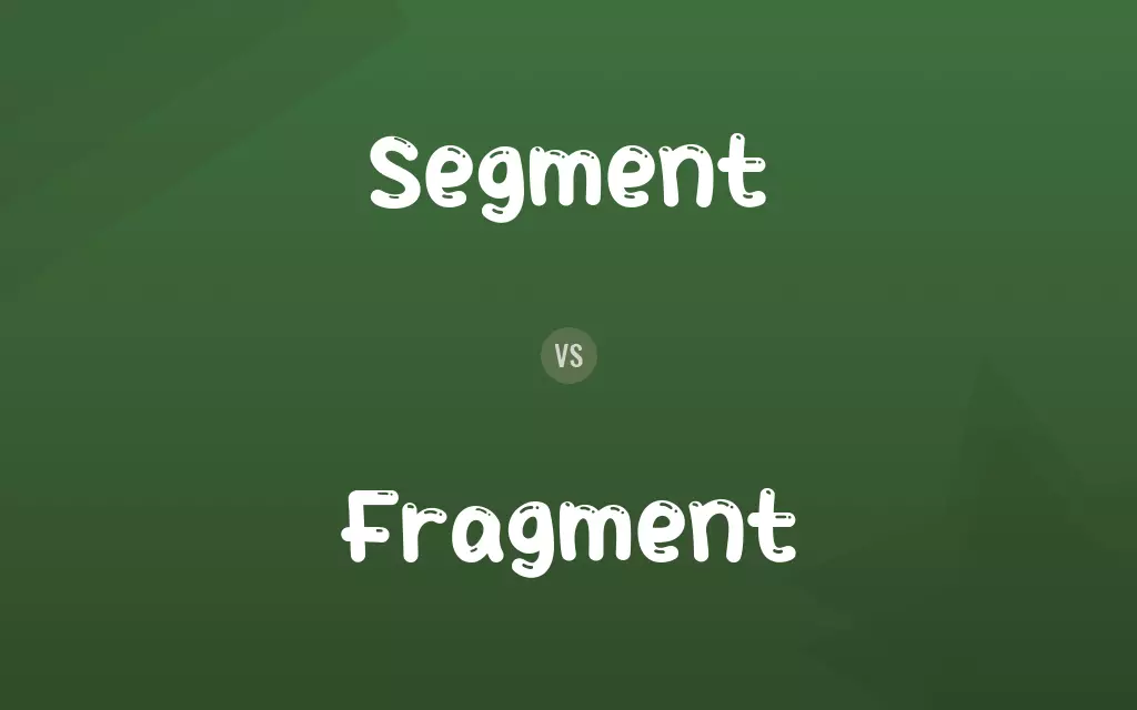 Segment vs. Fragment