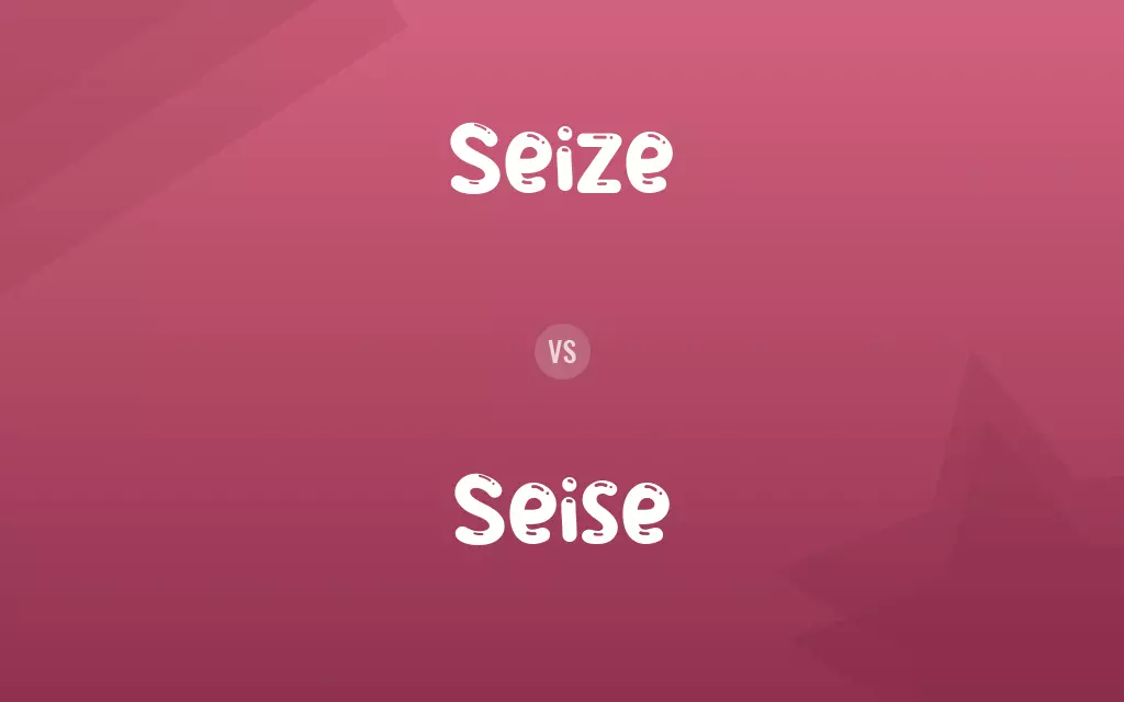 Seise vs. Seize