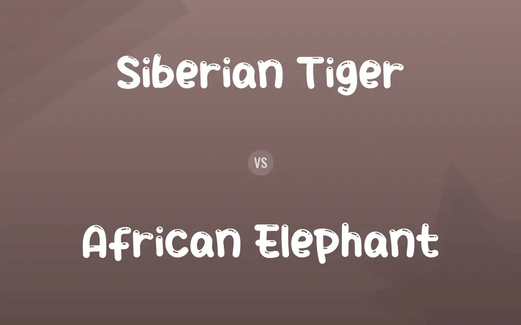 Siberian Tiger vs. African Elephant