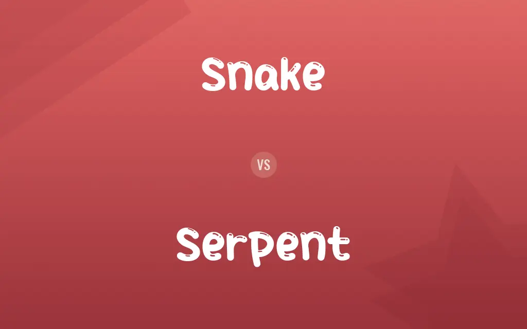Snake vs. Serpent