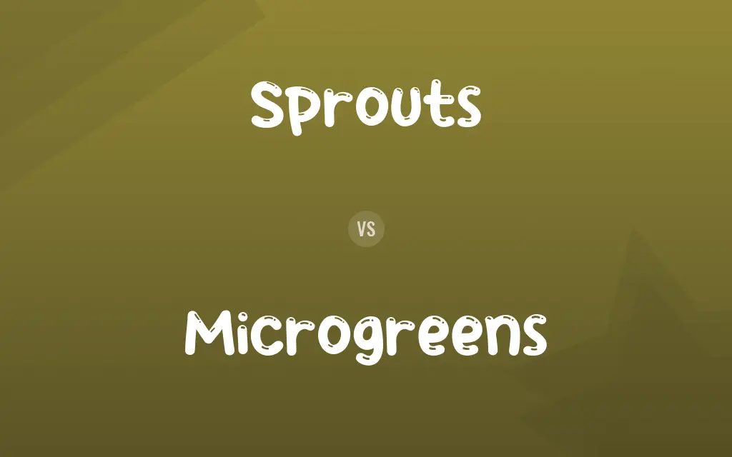 Sprouts vs. Microgreens