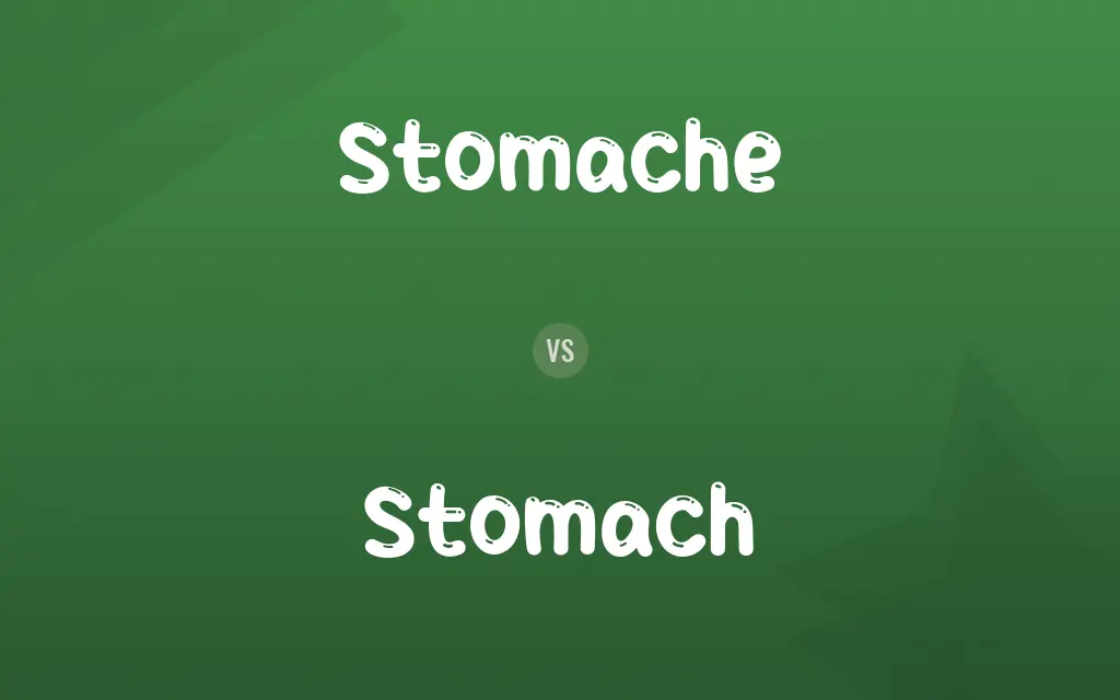 Stomache vs. Stomach
