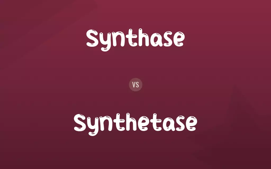 Synthase vs. Synthetase