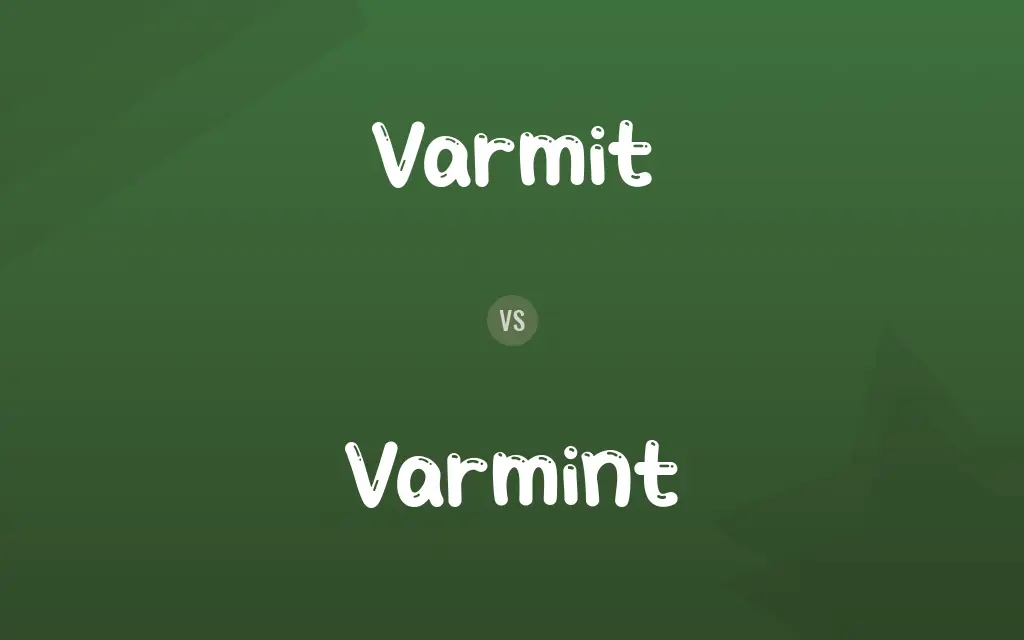 Varmit vs. Varmint