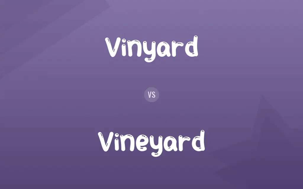 Vinyard vs. Vineyard