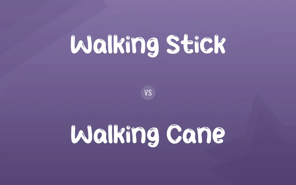 Walking Stick vs. Walking Cane