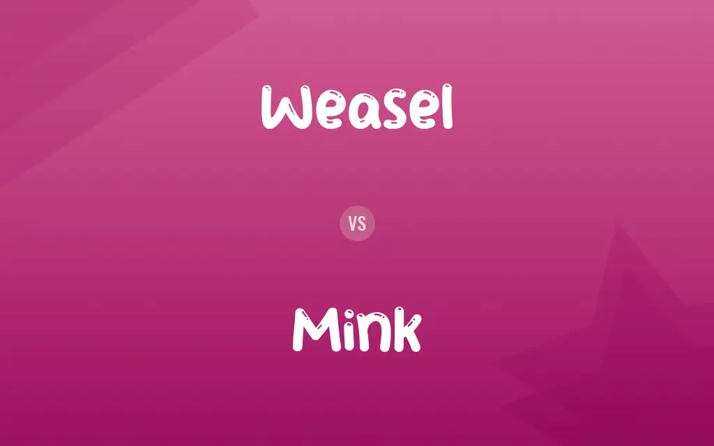 Weasel vs. Mink