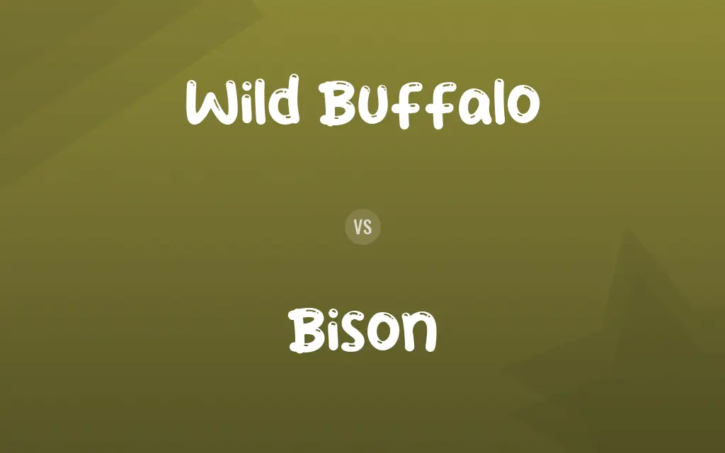 Wild Buffalo vs. Bison